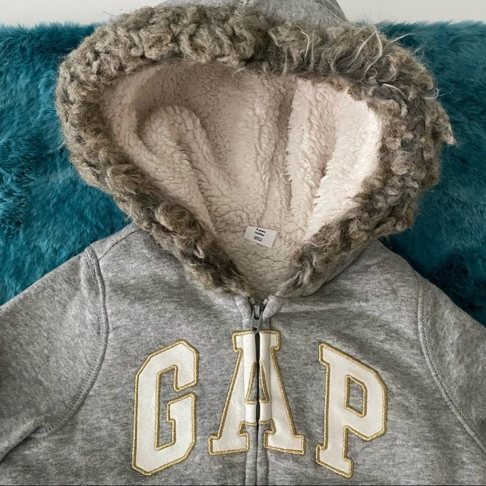 Baby Gap Toddler Girl Hoodie Size 3T